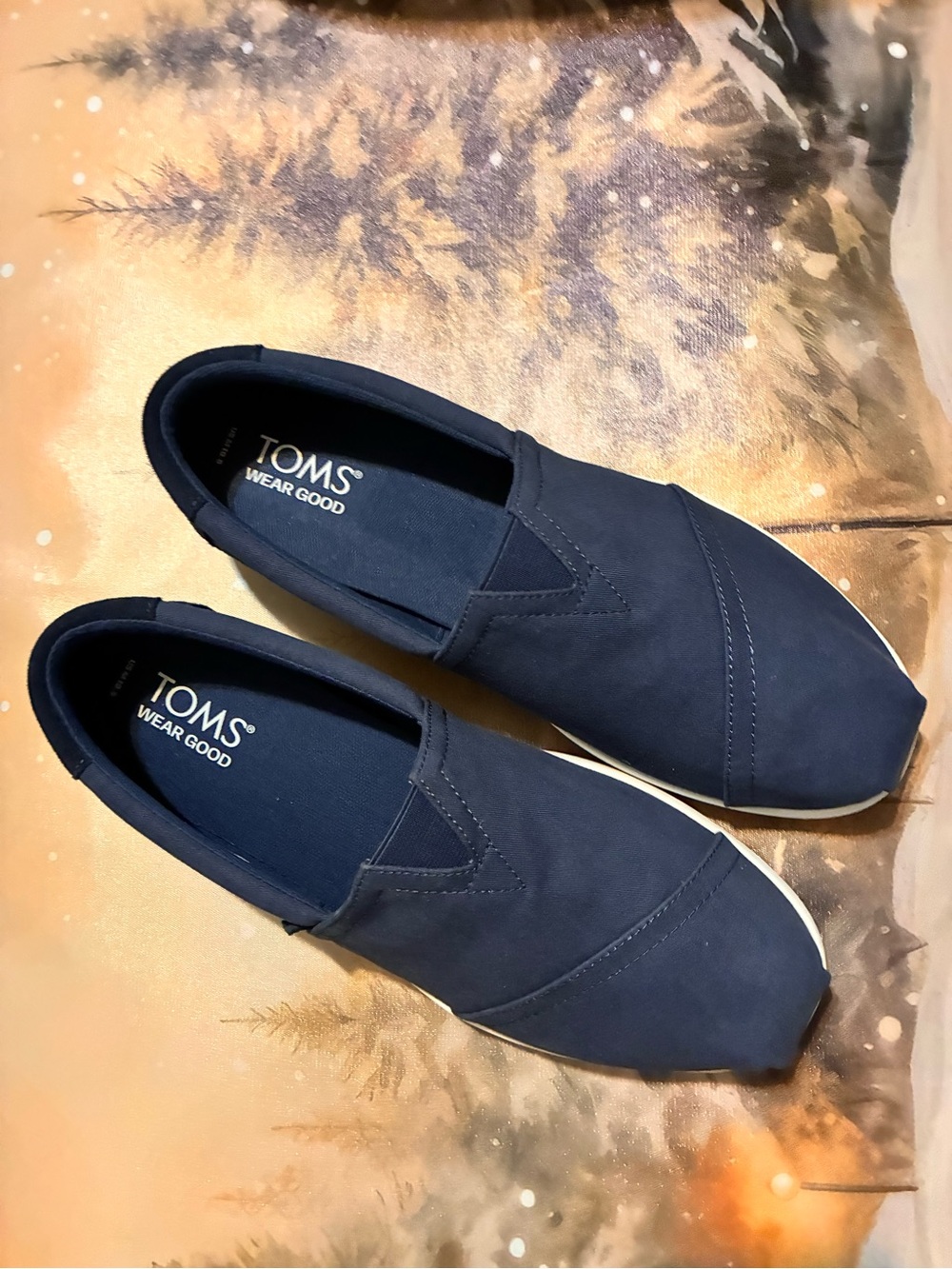TOMS Men’s Classic Slip-On Loafers in Navy Blue